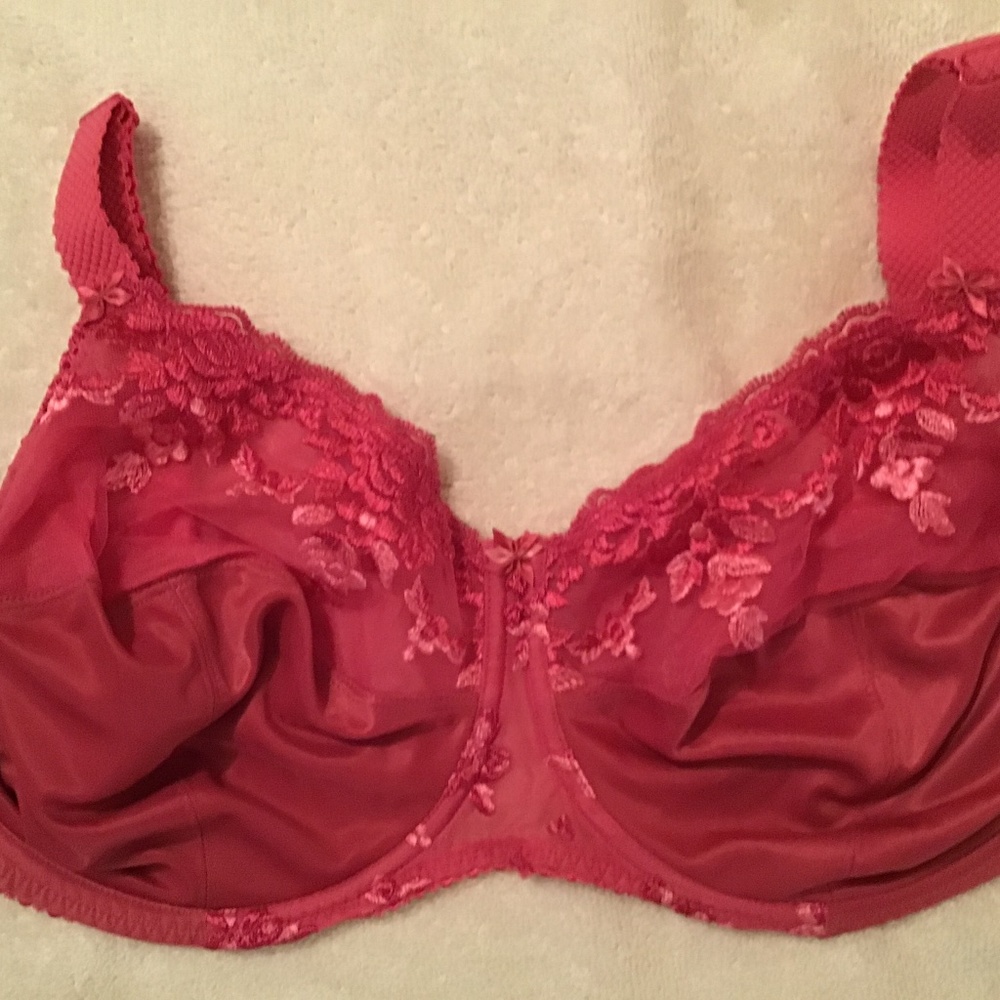 NWOT Fantasie bra size 34HH